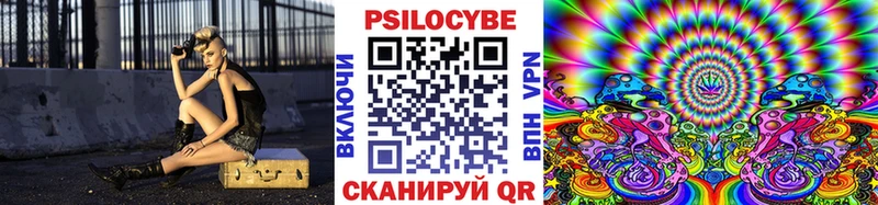 Купить  Верещагино  Псилоцибиновые грибы GOLDEN TEACHER 